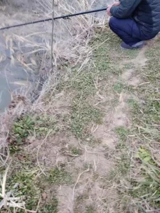 真实对白，诱惑湖边七旬大爷，直接野外开干